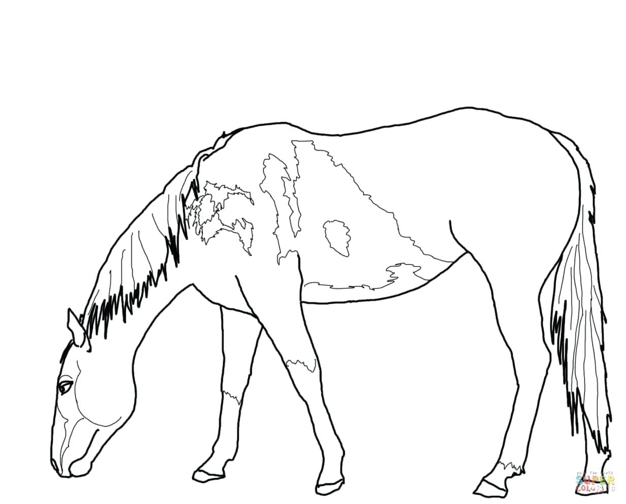 Coloring Pages Wild Horses at GetColorings.com | Free ...