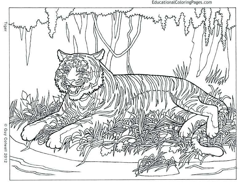 Complex Animal Coloring Pages at GetColorings.com | Free ...