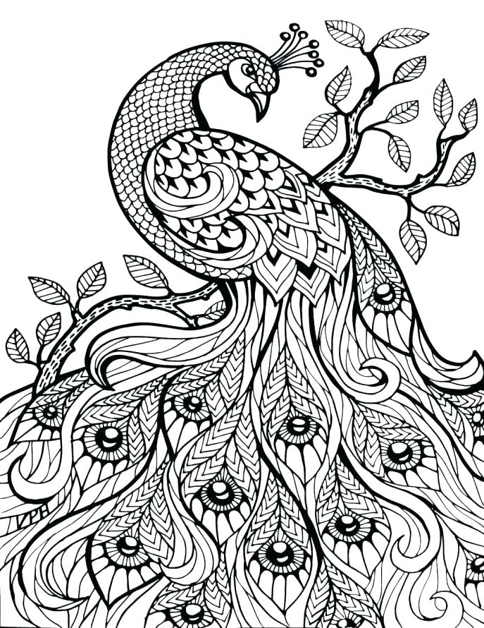 Complex Animal Coloring Pages at Free printable