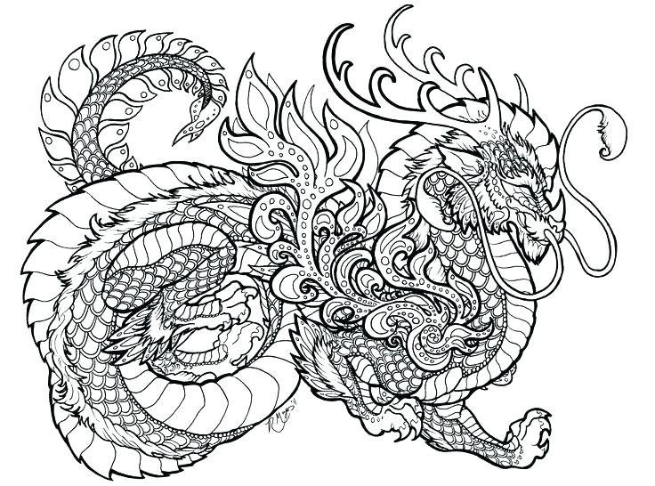 Complex Dragon Coloring Pages at GetColorings.com | Free printable