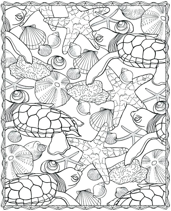 Conch Coloring Pages at GetColorings.com | Free printable colorings