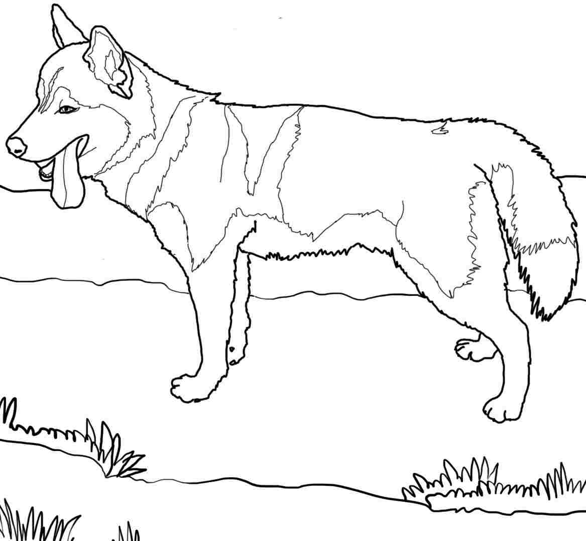 Cool Coloring Pages Of Dogs at GetColorings.com | Free printable