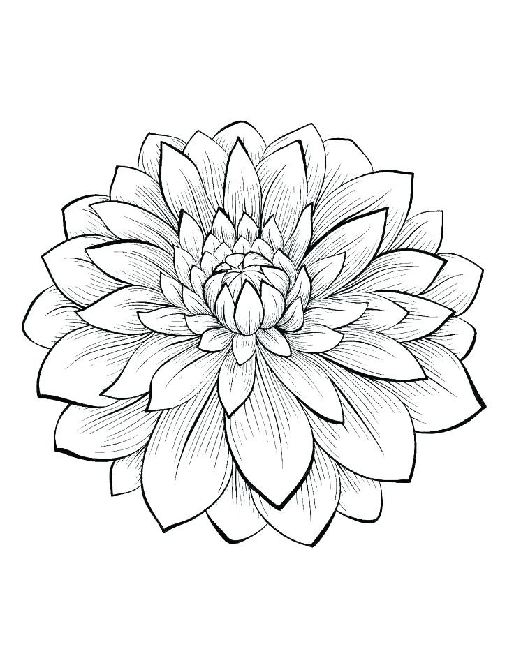 Cool Flower Coloring Pages at GetColorings.com | Free printable