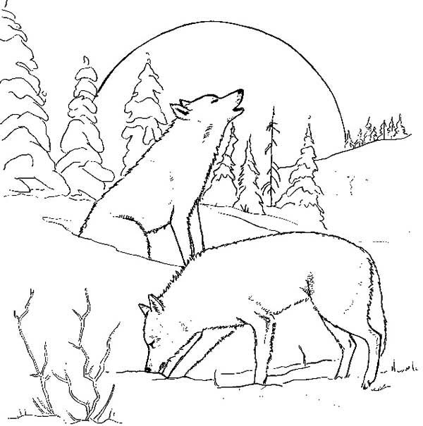 wolf coloring howling couple night moon pack drawing cool couples printable wolves coloring4free sheets animals anime realistic adults adult animal