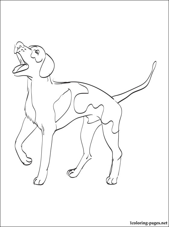 Coon Dog Coloring Pages at GetColorings.com | Free printable colorings