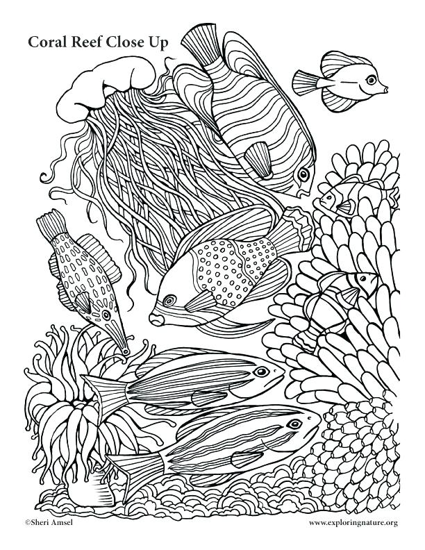 Coral Reef Fish Coloring Pages at GetColorings.com | Free printable