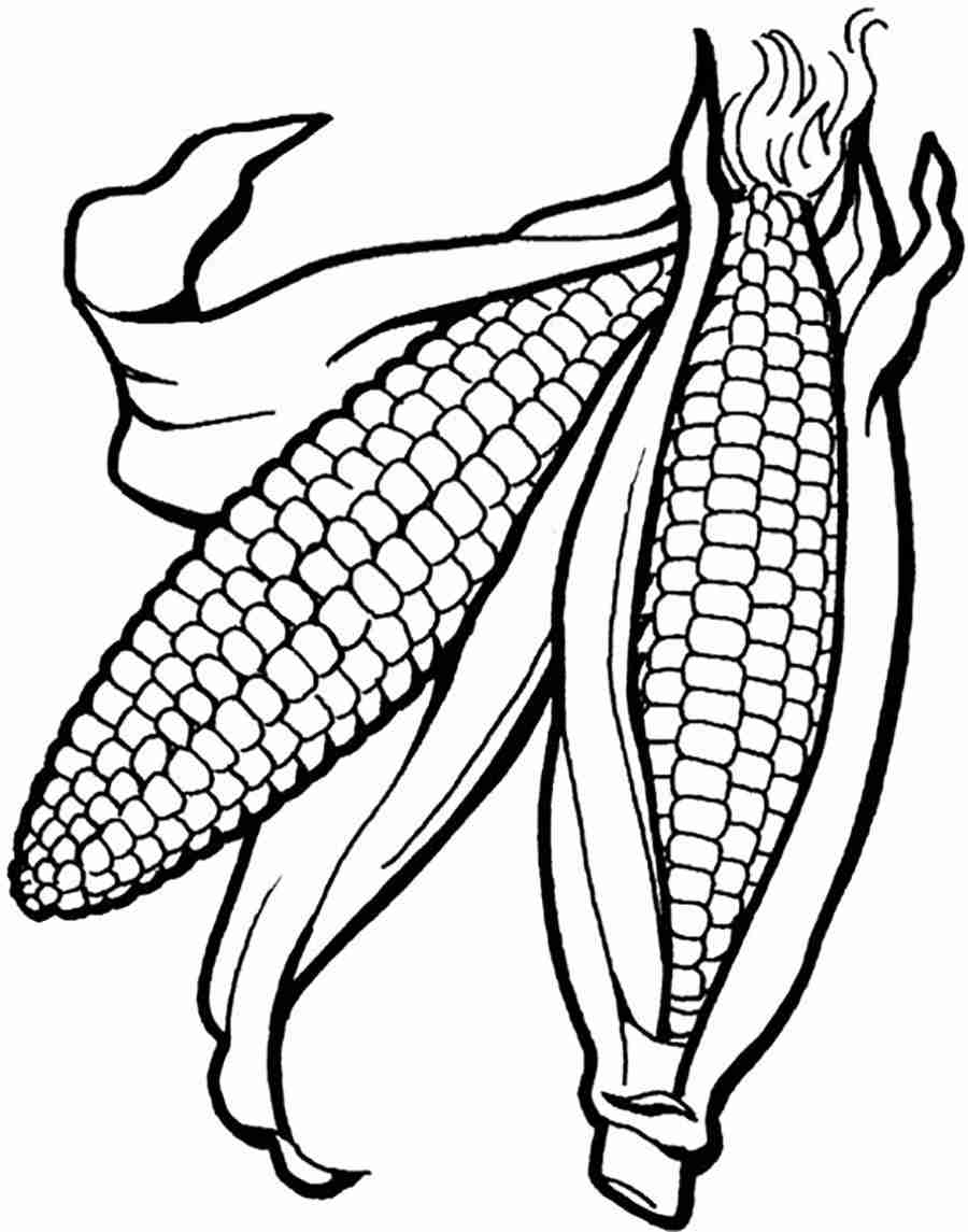Printable Corn On The Cob Template Prntbl concejomunicipaldechinu gov co