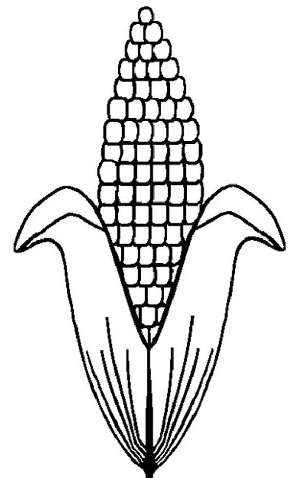 Corn On The Cob Coloring Page at GetColorings.com | Free printable