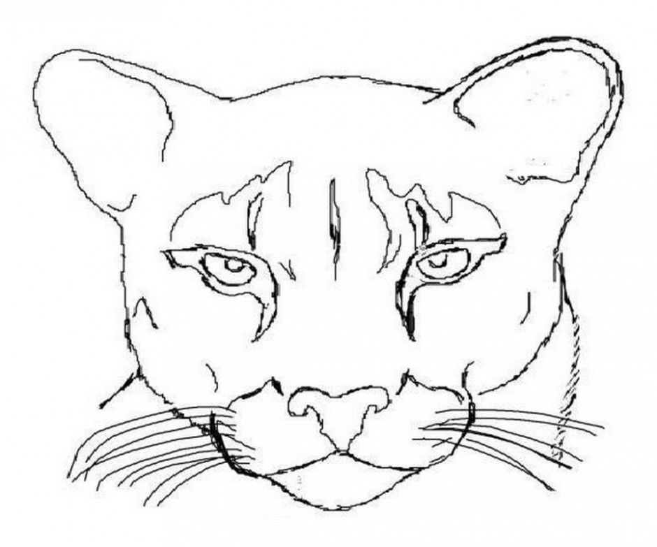 cougar-coloring-pages-coloring-pages