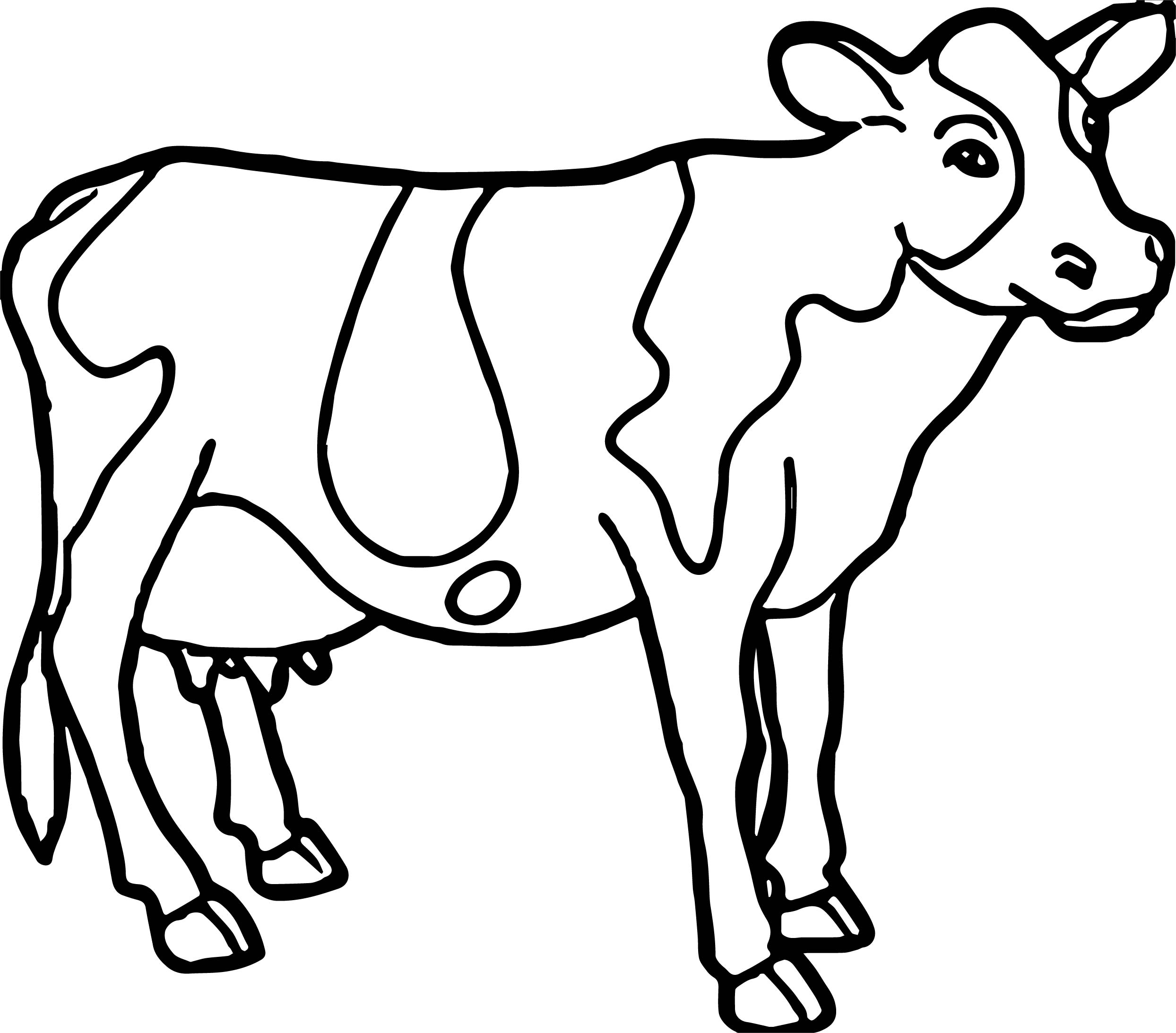 Cow Coloring Pages For Adults At Getcoloringscom Free Printable Cow 