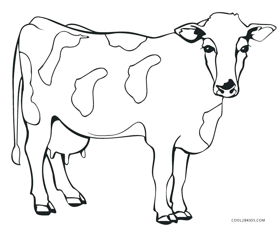 cow-coloring-pages-for-adults-at-getcolorings-free-printable