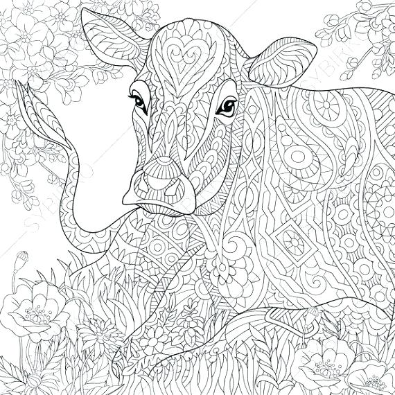 Coloring Pages Cows Free Printable Free Printable Cow Coloring Pages 