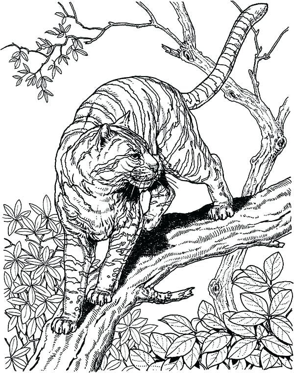 Crazy Animal Coloring Pages at Free printable
