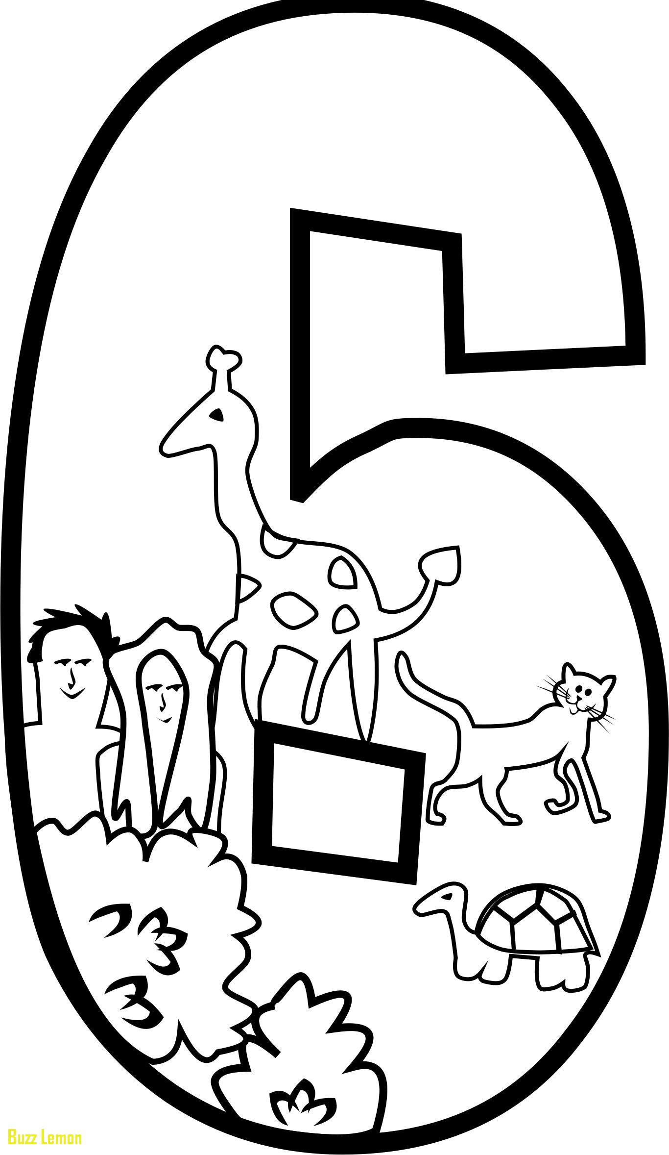635 Animal Day 1 Of Creation Coloring Pages with Printable
