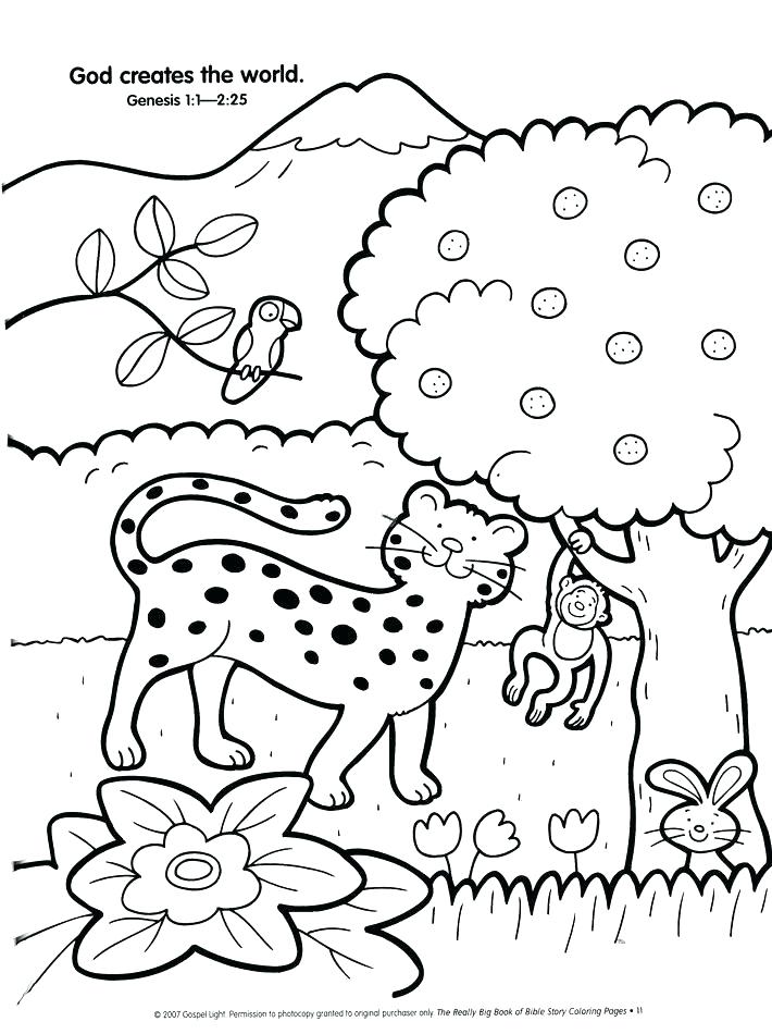 Creation Day 5 Coloring Pages At GetColorings Free Printable