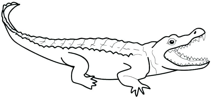 Cute Alligator Coloring Pages at GetColorings.com | Free ...