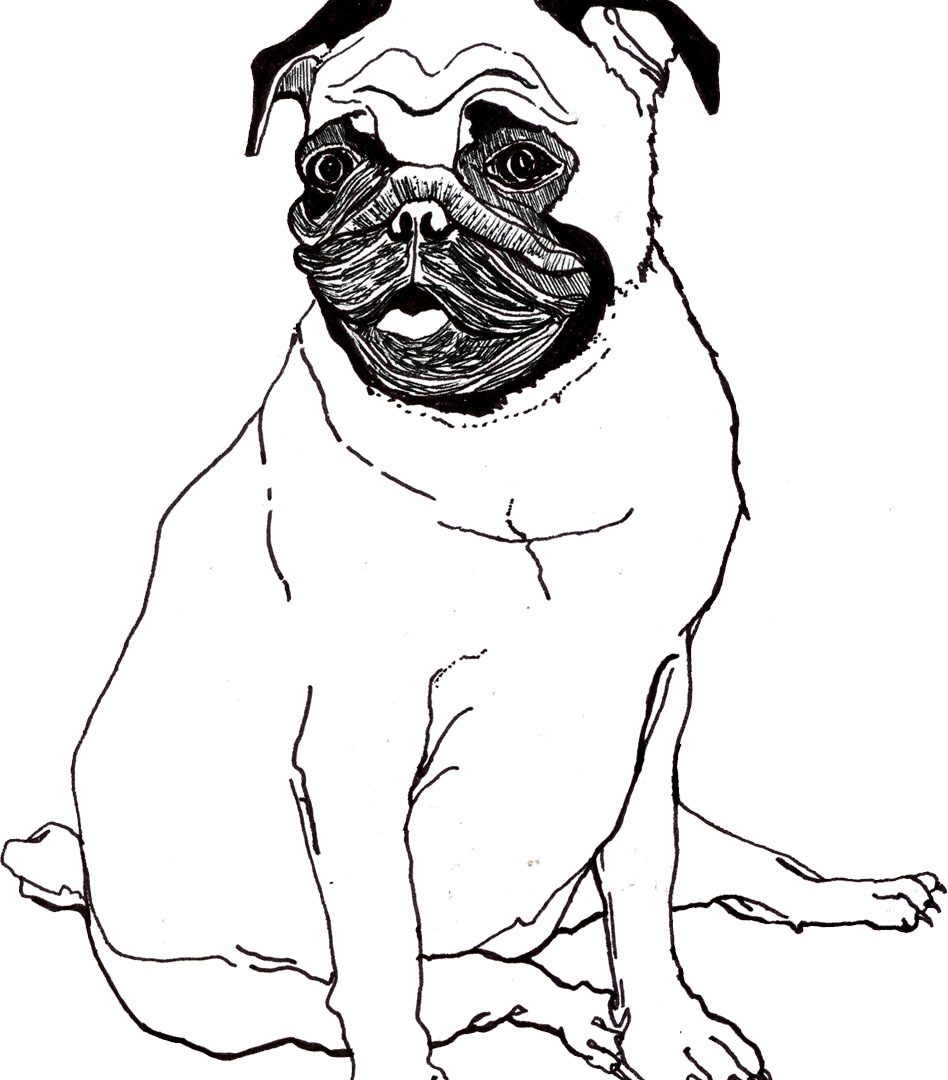 Cute Baby Dog Coloring Pages at GetColorings.com | Free printable