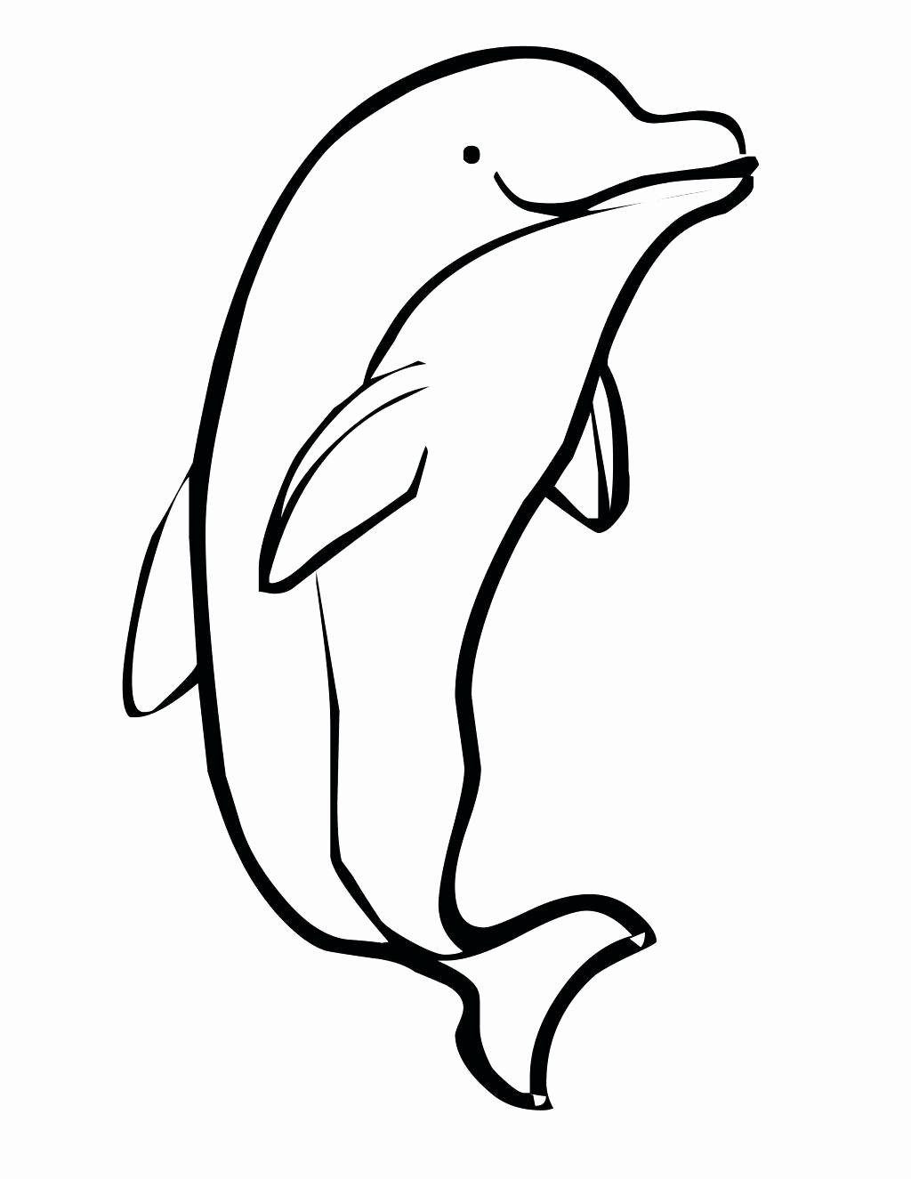 Cute Baby Dolphin Coloring Pages at GetColorings.com | Free printable