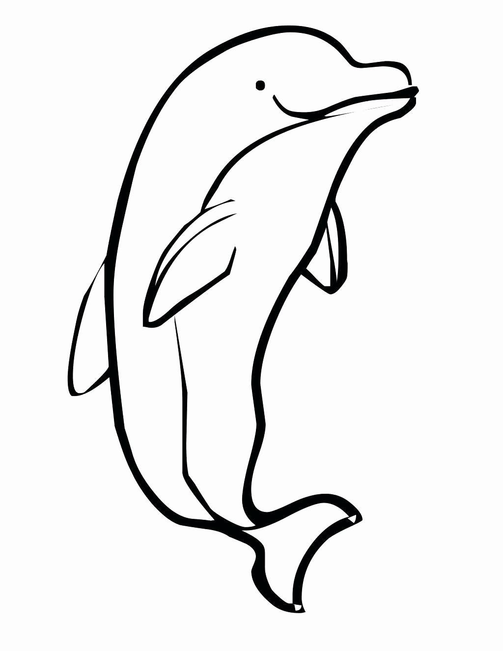 Cute Baby Dolphin Coloring Pages At GetColorings Free Printable 