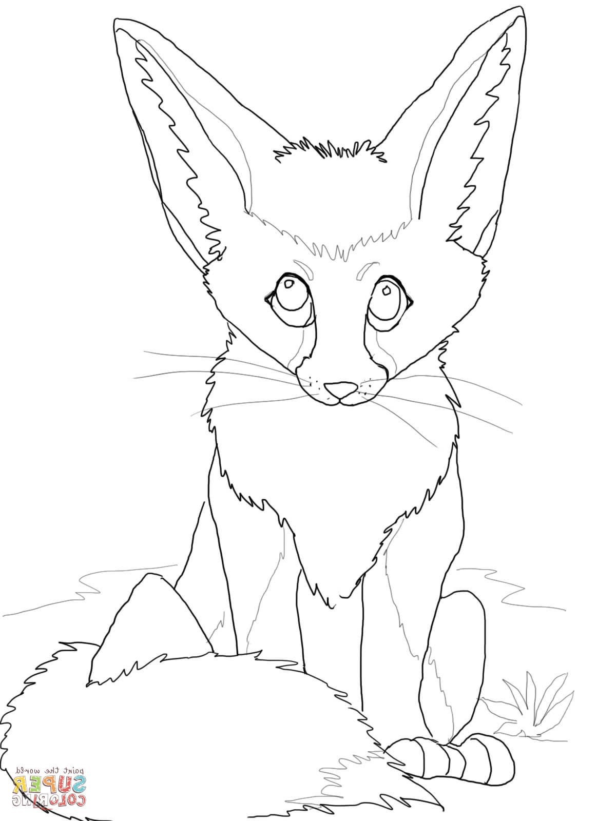 Cute Baby Fox Coloring Pages at Free
