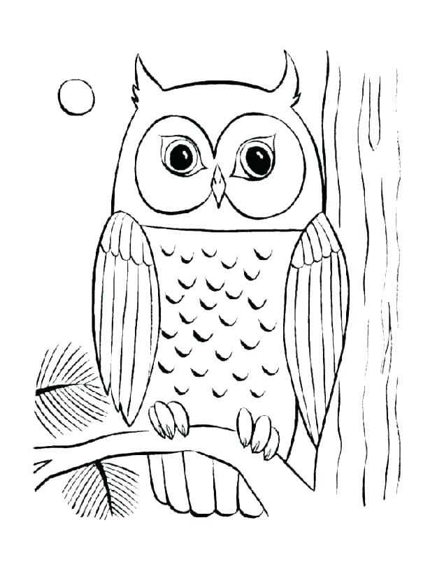 Cute Baby Owl Coloring Pages at GetColorings.com | Free printable