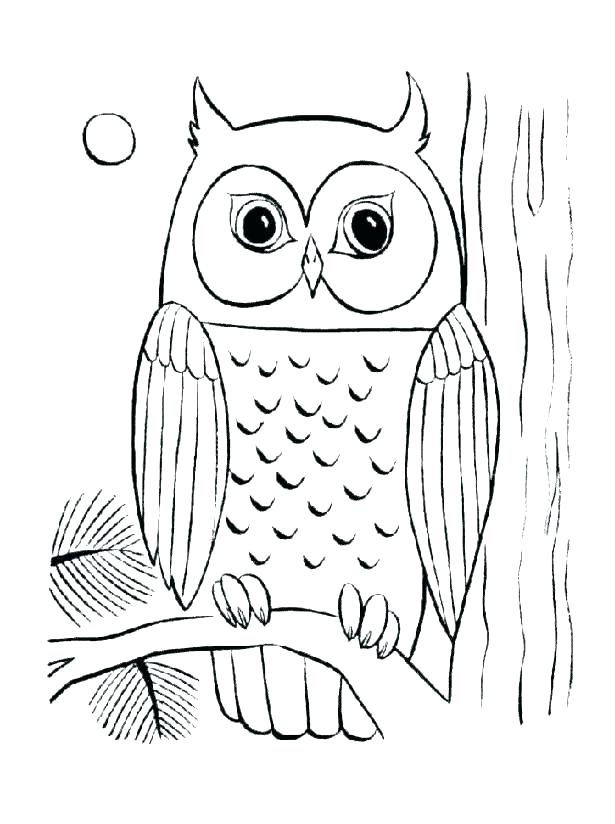 Cute Baby Owl Coloring Pages At GetColorings Free Printable 