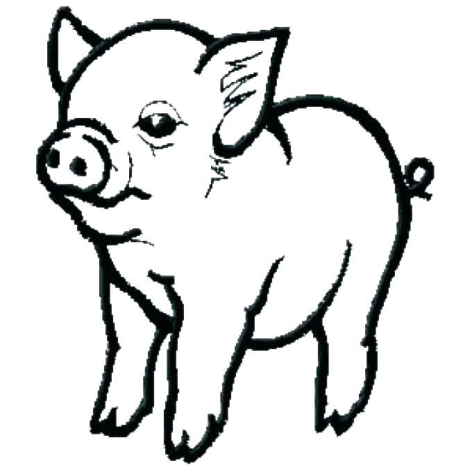 Pig And Piglets Coloring Page