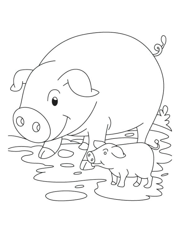 Cute Baby Pig Coloring Pages at GetColorings.com | Free printable