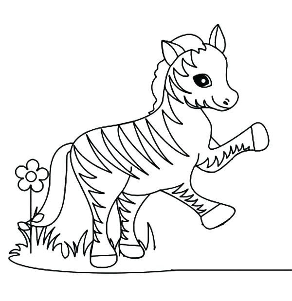 Cute Baby Zebra Coloring Pages at GetColorings.com | Free printable