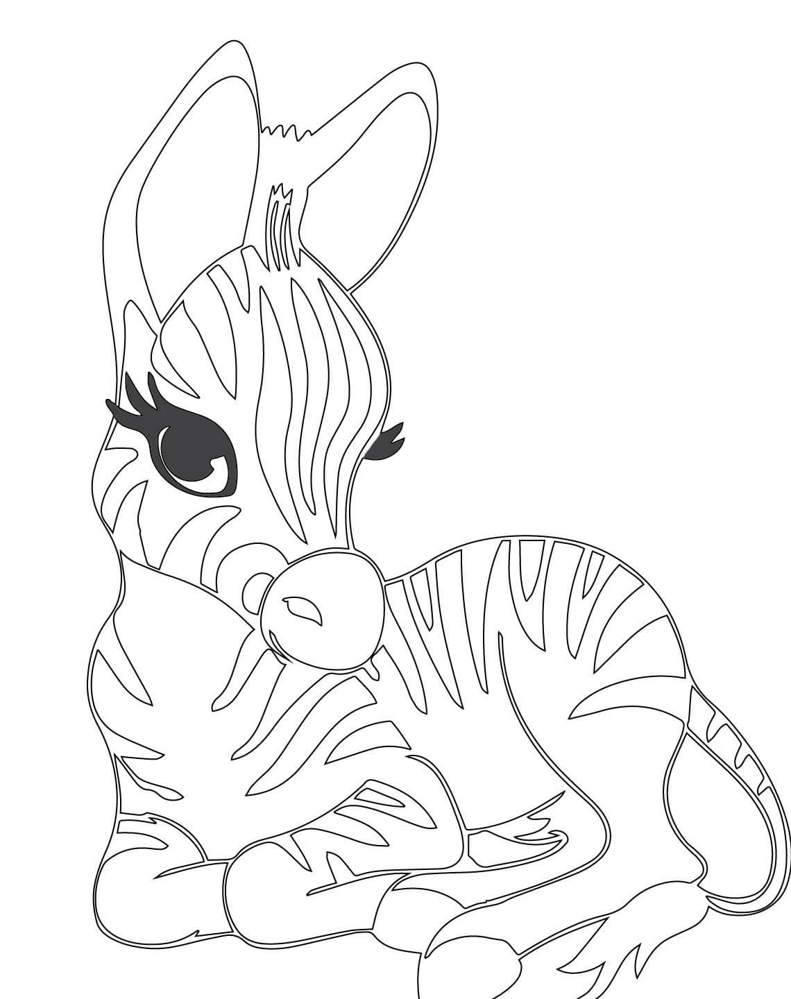 Cute Baby Zebra Coloring Pages at Free printable
