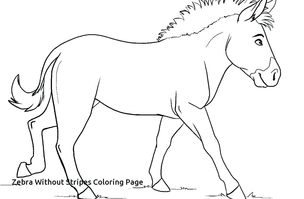 Cute Baby Zebra Coloring Pages at GetColorings.com | Free printable