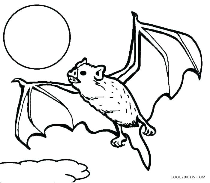 Cute Bat Coloring Pages at GetColorings.com | Free printable colorings