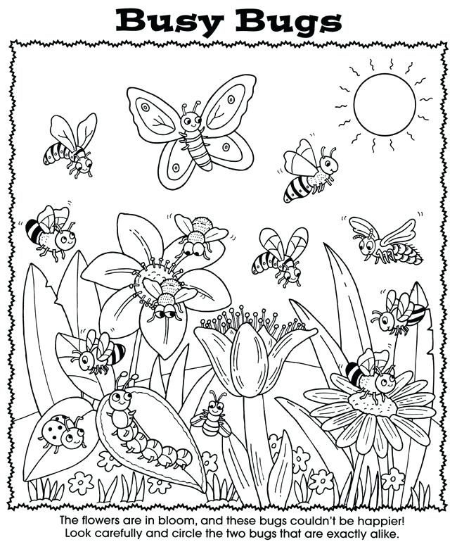 Free Printable Bug Colouring Sheets
