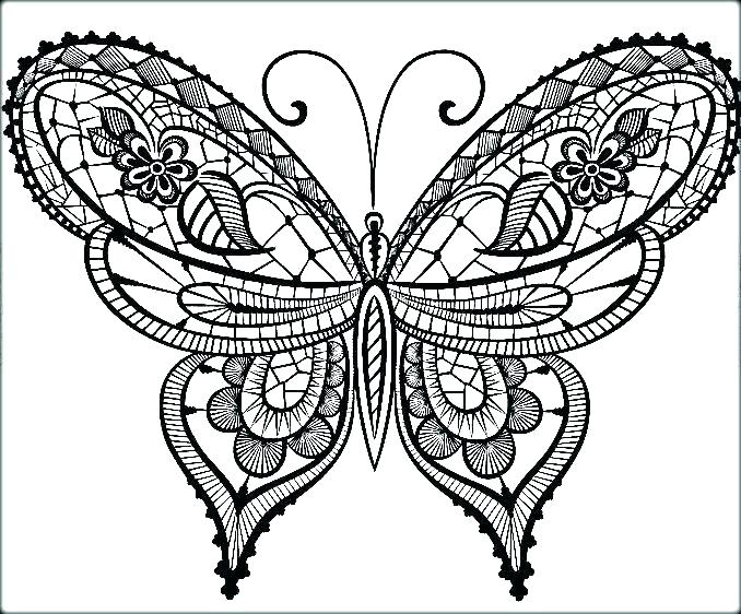 Cute Butterfly Coloring Pages at GetColorings.com | Free printable