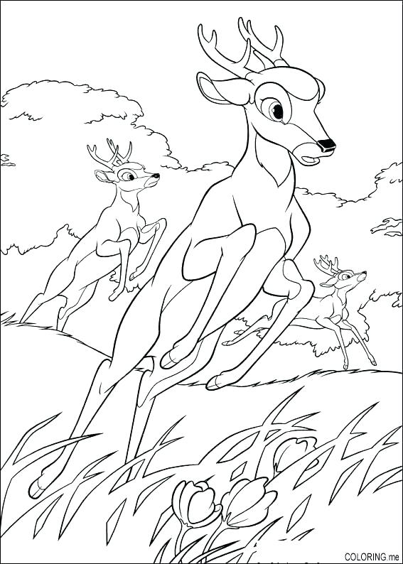Cute Deer Coloring Pages at GetColorings.com | Free printable colorings