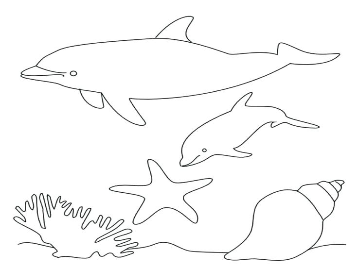 Cute Dolphin Coloring Pages at GetColorings.com | Free printable