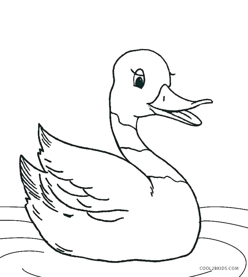 Cute Duck Coloring Pages at GetColoringscom Free