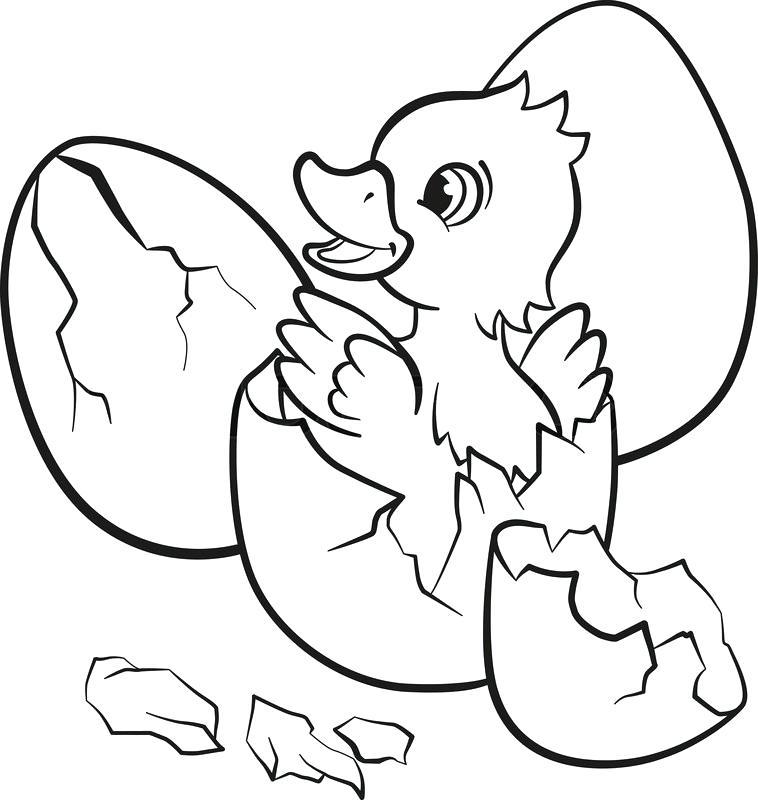 Cute Duck Coloring Pages at GetColorings.com | Free printable colorings