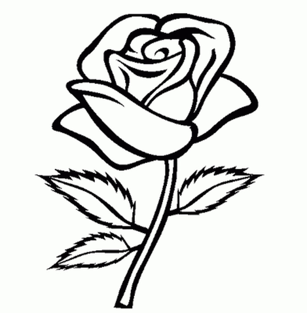 1004x1024 Cute Easy Coloring Pages Color Bros Arilitv Com Fair And Acpra