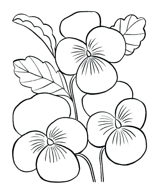 cute-flower-coloring-pages-at-getcolorings-free-printable