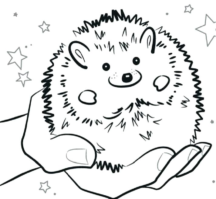 Cute Hedgehog Coloring Pages At Free Printable