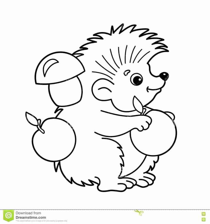 Cute Hedgehog Coloring Pages at GetColorings.com | Free printable