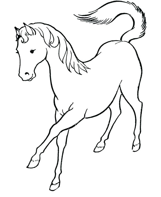 Cute Horse Coloring Pages at GetColoringscom Free