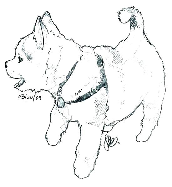 Cute Husky Coloring Pages at GetColorings.com | Free printable ... Cute Husky Coloring Pages at GetColorings.com | Free printable ...
