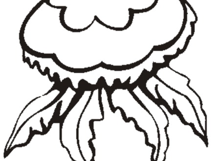 440x330 27 Jellyfish Coloring Page Zentangle Free
