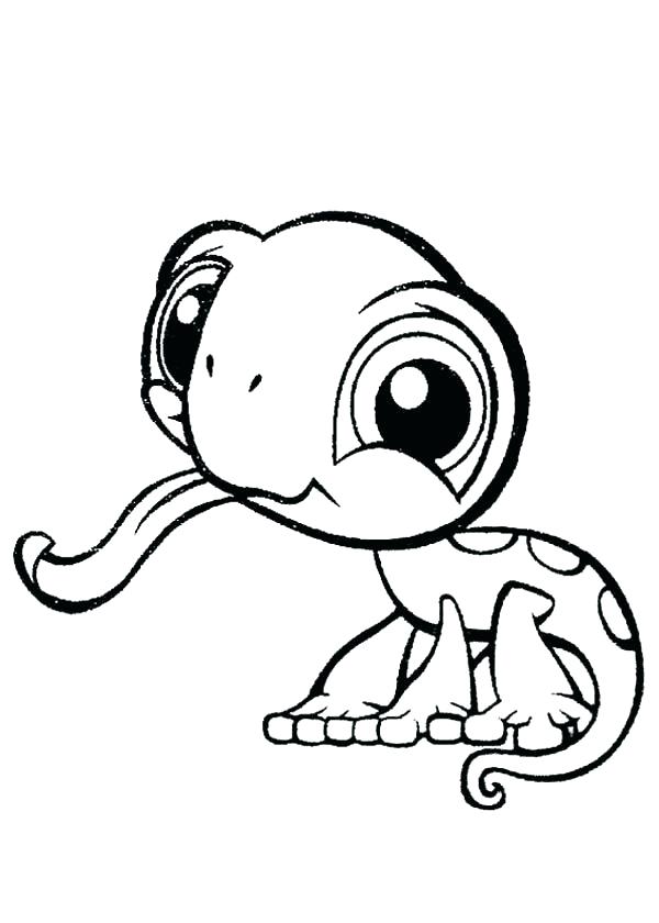 Cute Lizard Coloring Pages at GetColorings.com | Free printable