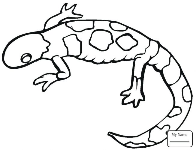Cute Lizard Coloring Pages at GetColorings.com | Free printable