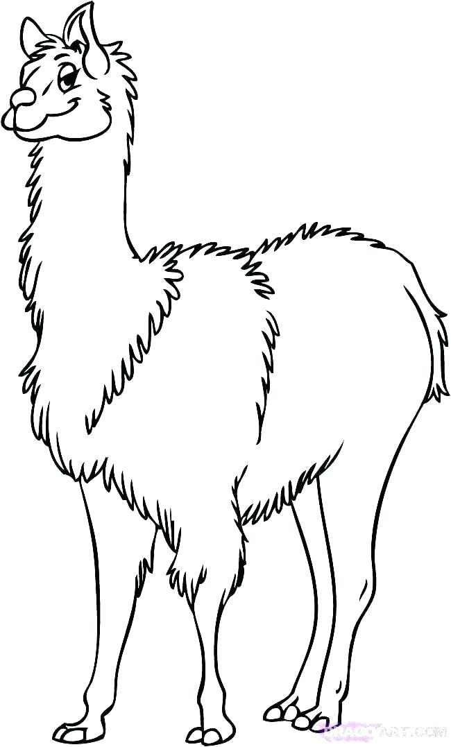 Cute Llama Coloring Pages at GetColorings.com | Free printable