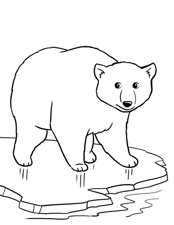 Cute Polar Bear Coloring Pages at GetColorings.com | Free printable colorings pages to print and