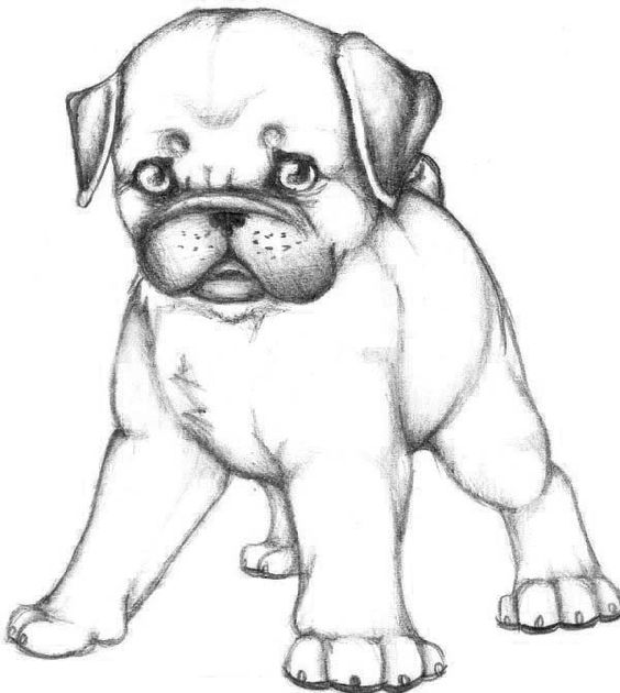 Pug Coloring Pages To Print at GetColorings.com | Free printable
